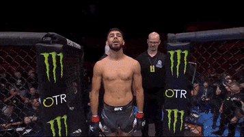 Mixed Martial Arts Sport GIF by UFC