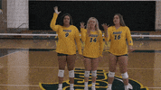 Volleyball Bison GIF by NDSU Athletics