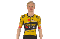Tour De France Win Sticker by Team Jumbo-Visma