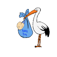 Happy Baby Boy Sticker