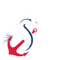 disenoCASC casc colegioamericano corsarios colegio americano Sticker