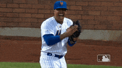 Happy Ny Mets GIF by New York Mets
