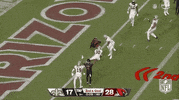 Arizona Cardinals Football GIF by NFL