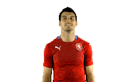 Czech Republic Ceskarepre Sticker by 2score