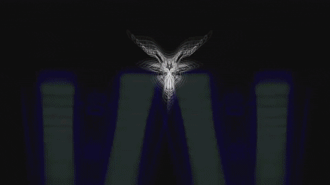 Art Video GIF by jorgemariozuleta