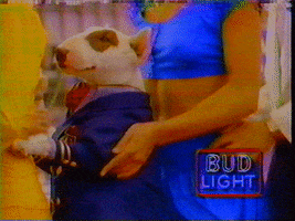 Spuds Mackenzie Dancing GIF