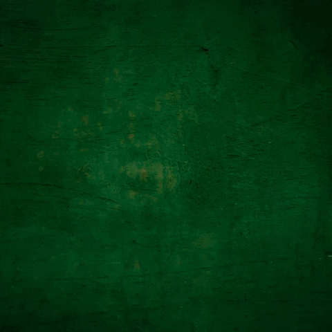 Ich Bin Ein Star Model GIF by RTLde