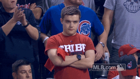 World Series Baseball GIF by MLB