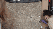 Art Conservation GIF by Brooklyn Museum