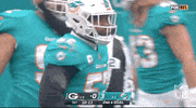 Miami Dolphins Football GIF by NFL
