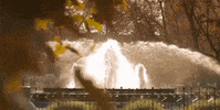 philadelphia pennsylvania GIF