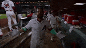 Yelling Arizona Diamondbacks GIF by MLB