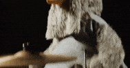 The Wonder Years Guitar GIF by Hopeless Records