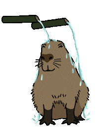 Capybara Sticker by KolibriDesign by Tamy