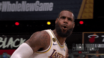 Lebron James Sport GIF by NBA