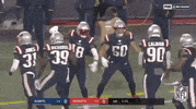New England Patriots Football GIF by NFL