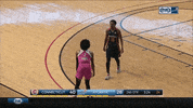 wnba basketball teamwork sportsmanship hifive GIF