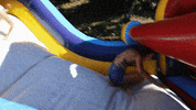 youtube falling GIF by Rosanna Pansino