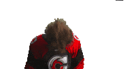 Hockey Echl Sticker by Cincinnati Cyclones