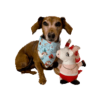 Daschund Winter Dog Sticker by Geekster Pets