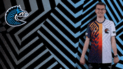 Sport GIF by BS+COMPETITION