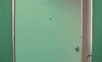 Daddys Home GIF by St. Vincent