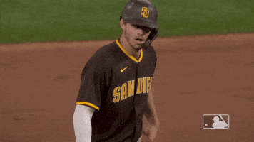 Major League Baseball Sport GIF by MLB