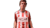 Yourdreamsarenow Theclassof2019 Sticker by De Kaascoman