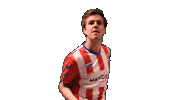 Yourdreamsarenow Theclassof2019 Sticker by De Kaascoman