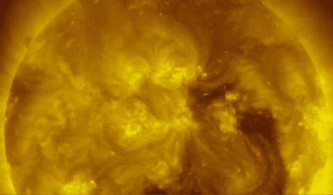 snrgwozdik giphygifmaker GIF