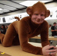 Monkey GIF