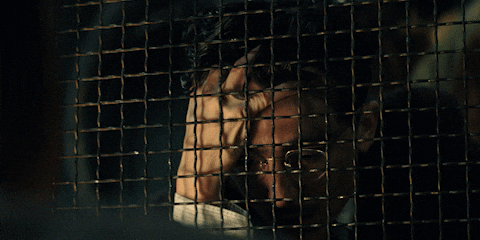 Dream Big Timothee Chalamet GIF by A24