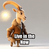 GIF by Radiantelope