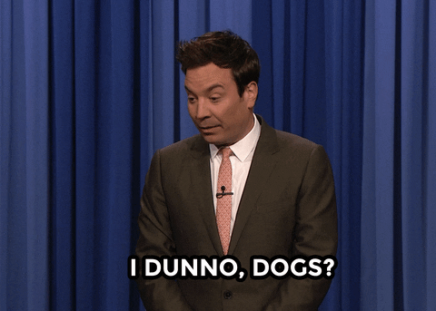 Comedy Reaction GIF by The Tonight Show Starring Jimmy Fallon