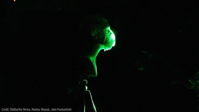 democrito giphyupload GIF