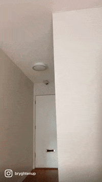 Bryght  GIF
