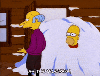 homer simpson GIF