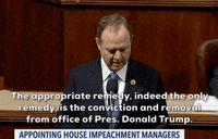 news impeachment impeachment trial adam schiff impeachment managers GIF
