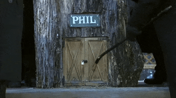 Groundhog Day Pennsylvania GIF by GIPHY News