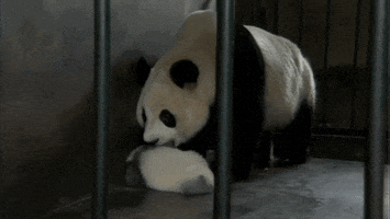 mama GIF by Neon Panda MX