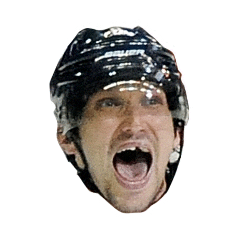 Happy National Hockey League Sticker by NHL