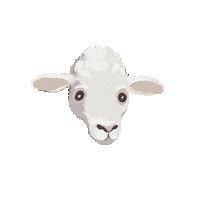 Farm Animal Sheep Sticker