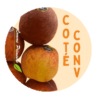 Peach Conv Sticker by Lomme Primeurs
