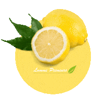Fruit Lemon Sticker by Lomme Primeurs