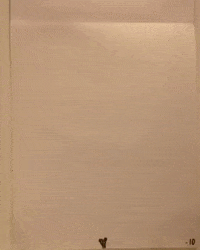 Blaga trippy psychedelic nature flower GIF