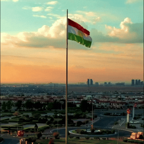 Flag Al GIF