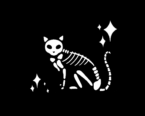 Itismeshannonlee giphygifmaker cat halloween star GIF