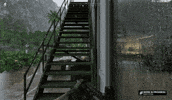 Rainy Weather Rain GIF by Gray Zone Warfare
