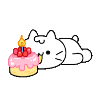 Birthday Cake Cat Sticker by Mikitti