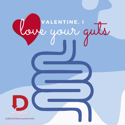 detoxifybecauseitworks giphyupload valentine gut health valentines day card GIF